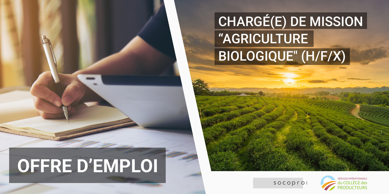 Le Collège des Producteur RECRUTE un(e) chargé(e) de mission \