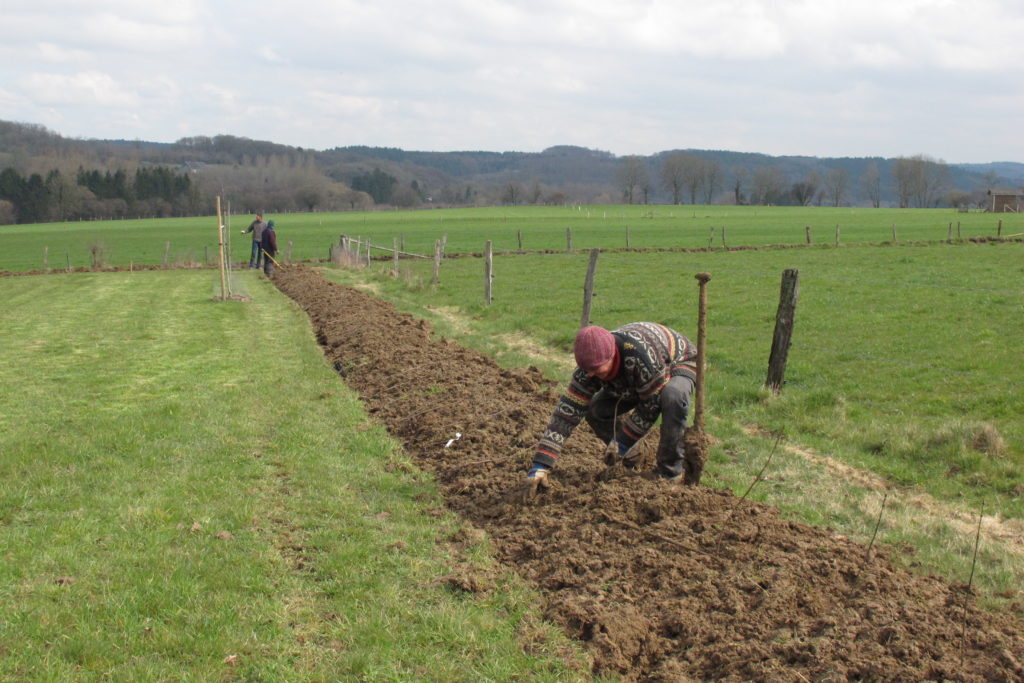 plantation de haies - crédit photo Sébastien Pirotte
